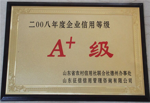 A+企業